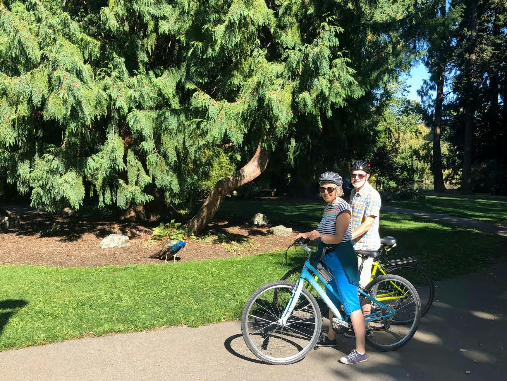 Victoria: 3-Hr Guided Bike Tour 4