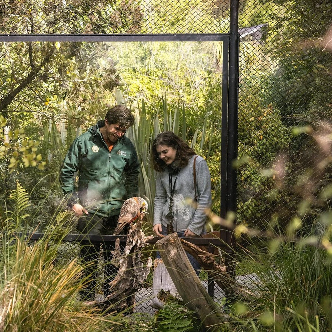 A man and a woman stand outside a zoo enclosure, observing a bird of prey behind a wire fence amidst lush greenery.