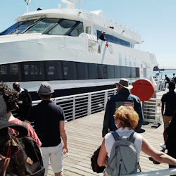 Long Walk to Freedom & Robben Island Private Tour 4