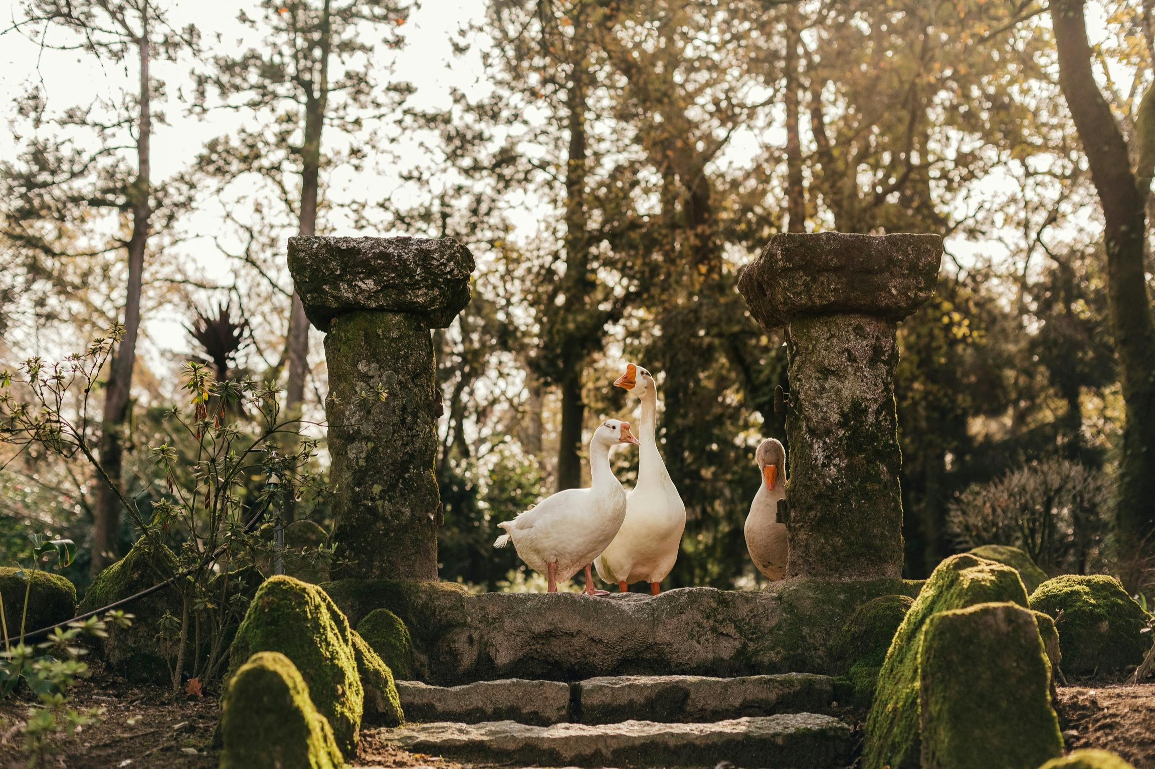 Gardens Quinta Aveleda