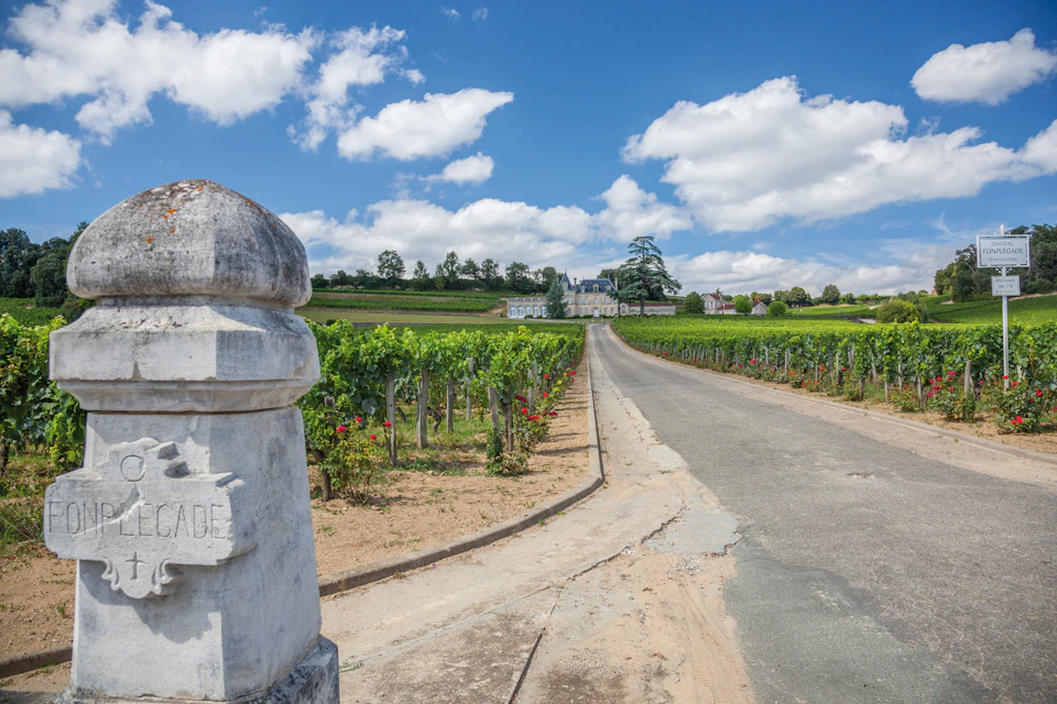 A vineyard stretches alongside a tarmac road leading to a chateau in the distance, beneath a blue sky dotted with clouds.