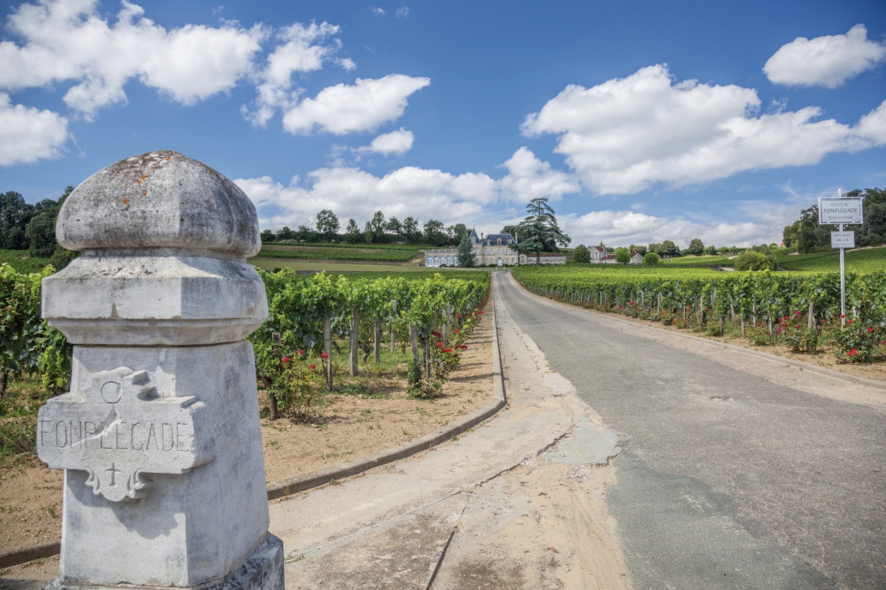 Villaggio di Saint-Émilion: Tour del Vino di Mezza Giornata da Bordeaux - Alloggi in Bordeaux