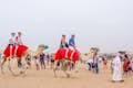Maravilla del desierto: Safari por la tarde en el desierto con granja de camellos, Sanboading, cena con barbacoa