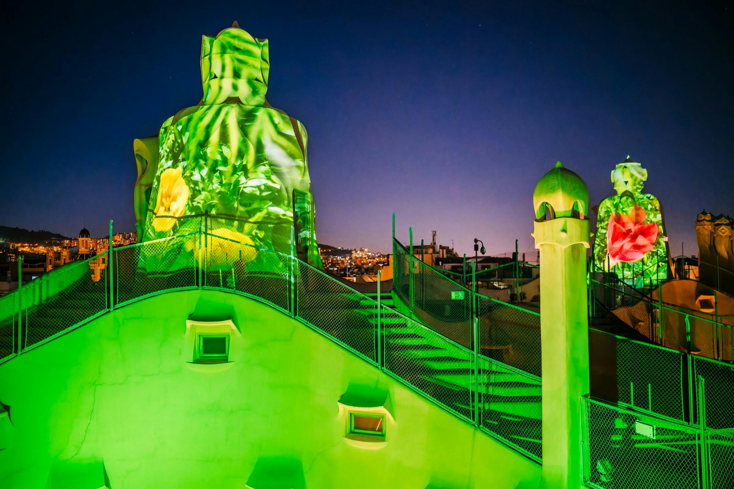 Il tetto de La Pedrera Night Experience