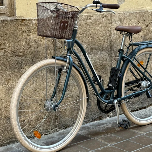 Valência: Aluguel de bicicletas na cidade - Photo 8