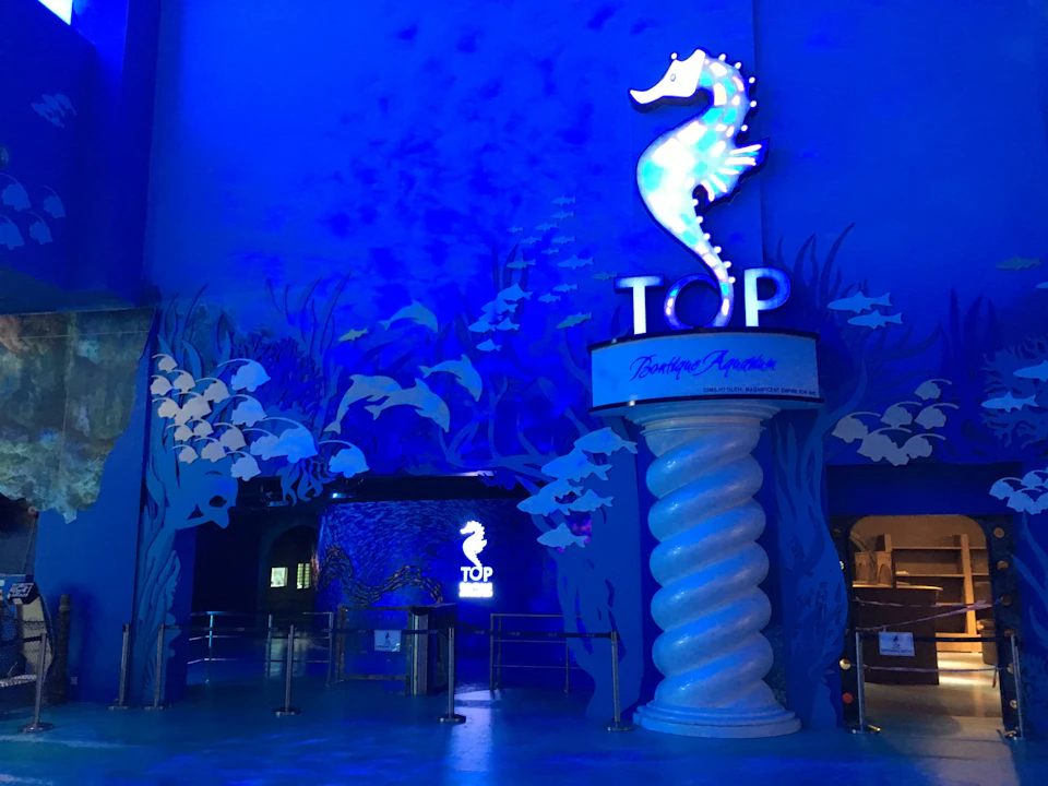 Interior of a venue with a seahorse-themed decoration, blue lighting, and a sign reading "TOP Boutique Aquarium."