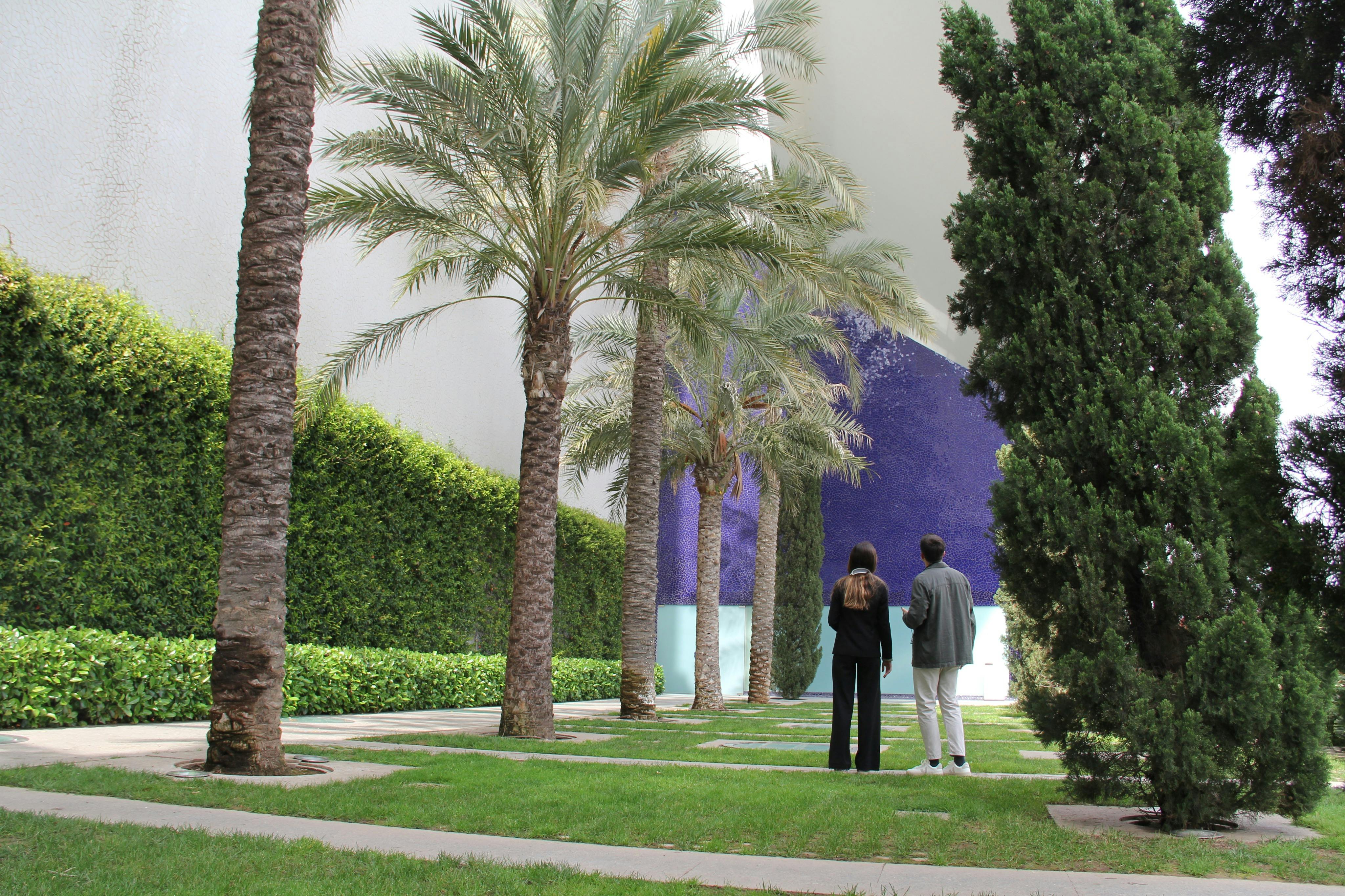 两个人站在一个风景优美的区域，棕榈树、整齐修剪的草地和背景中的一堵紫色墙壁。