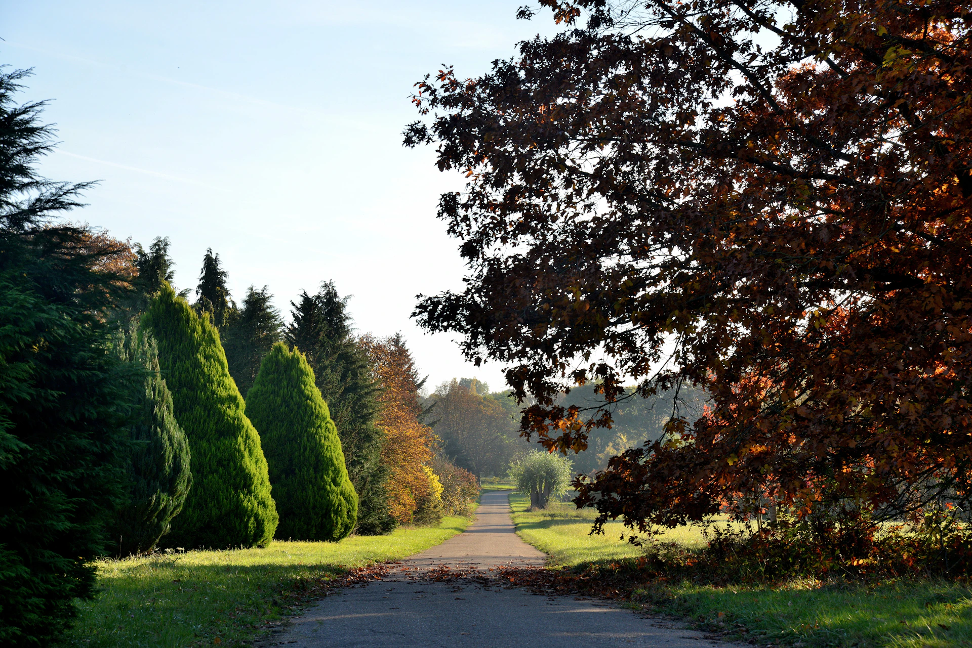 Paved path flanked by green and autumn-colored trees, stretching into the distance under a clear sky.