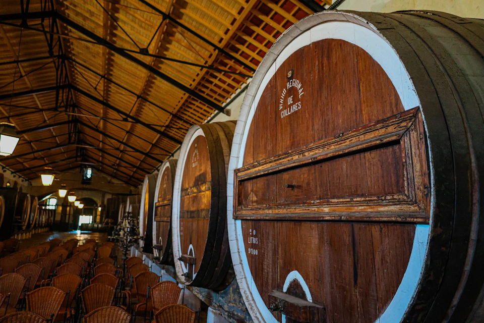 Large wooden barrels in a rustic winery interior with rows of chairs arranged in front.