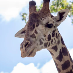 Central Florida Zoo & Botanical Gardens: Skip The Line Ticket in destination