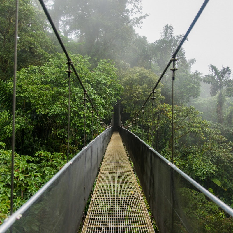 Sarapiqui arenal pura plaines mistico Tickets Mistico Arenal Hanging Bridges Park - La Fortuna | Tiqets.com
