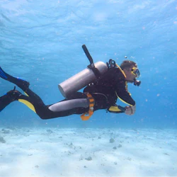 Dubai Scuba Dive: Experience for Beginners 3