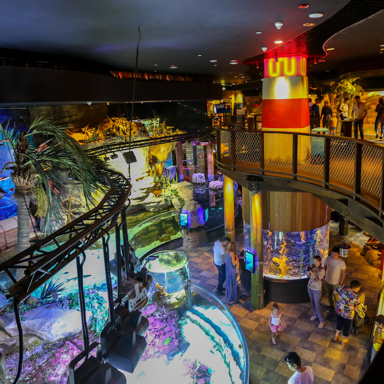 Dubai Aquarium & Underwater Zoo: Entry Ticket + Penguin Encounter 2