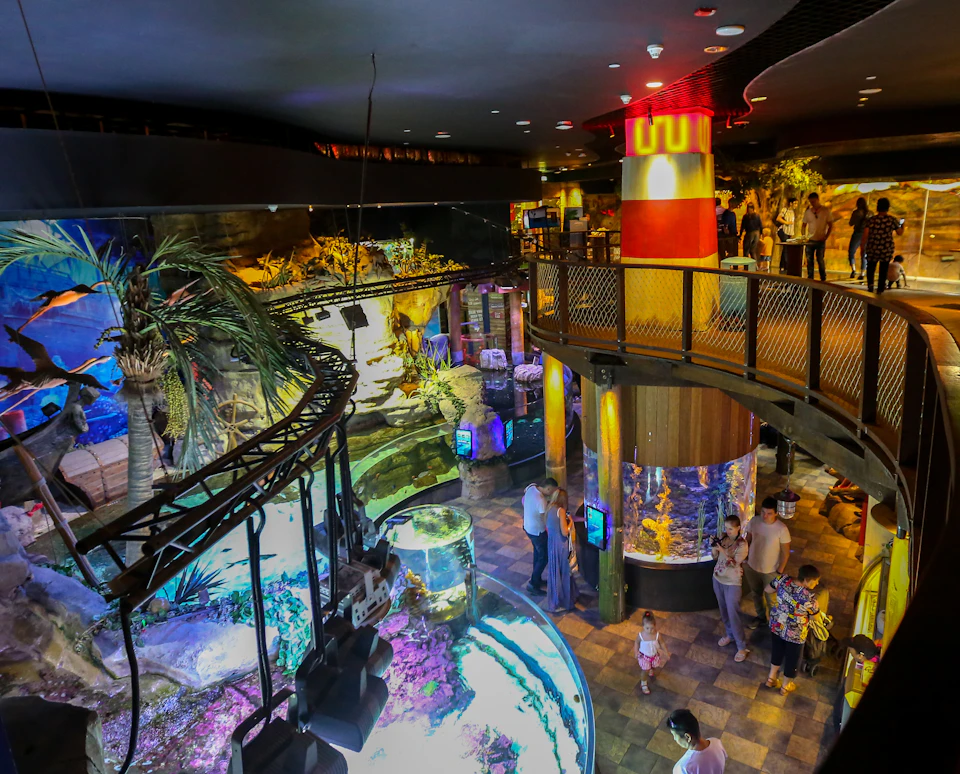 An aquarium with various tanks and exhibits, an elevated walkway, and visitors exploring the displays.
