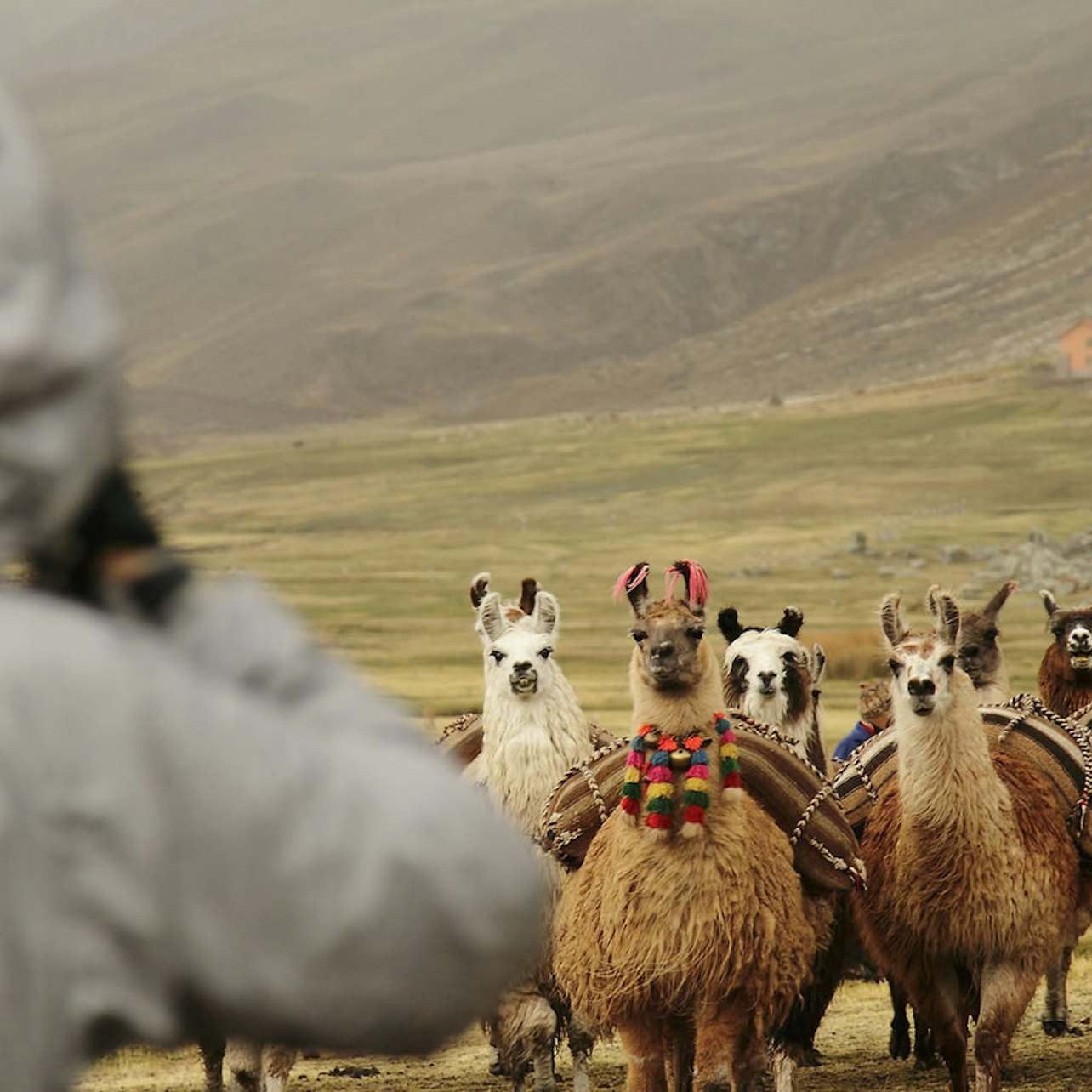 Caminhada na Montanha Arco-Íris a partir de Cusco - Acomodações em Cusco
