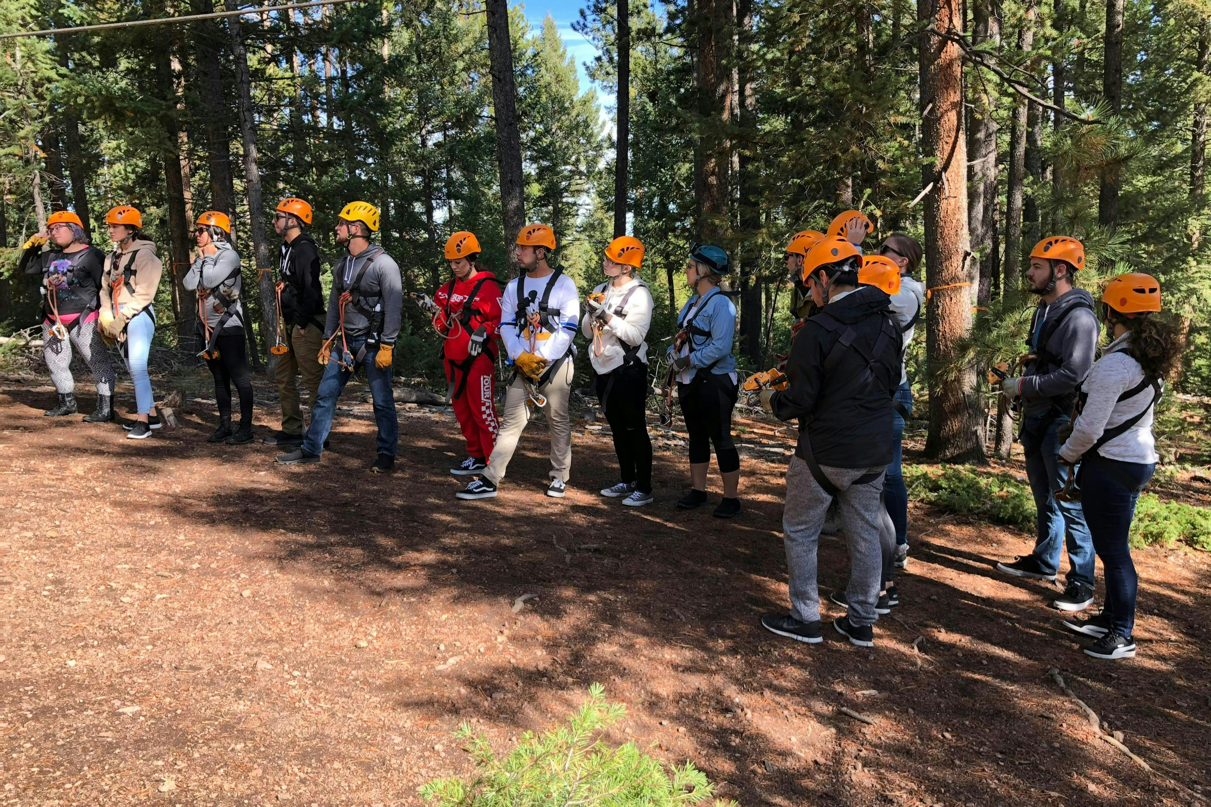 オレンジ色のヘルメットと安全ハーネスを身に着けた人々のグループが、高い木の下の森の空き地に立っています。