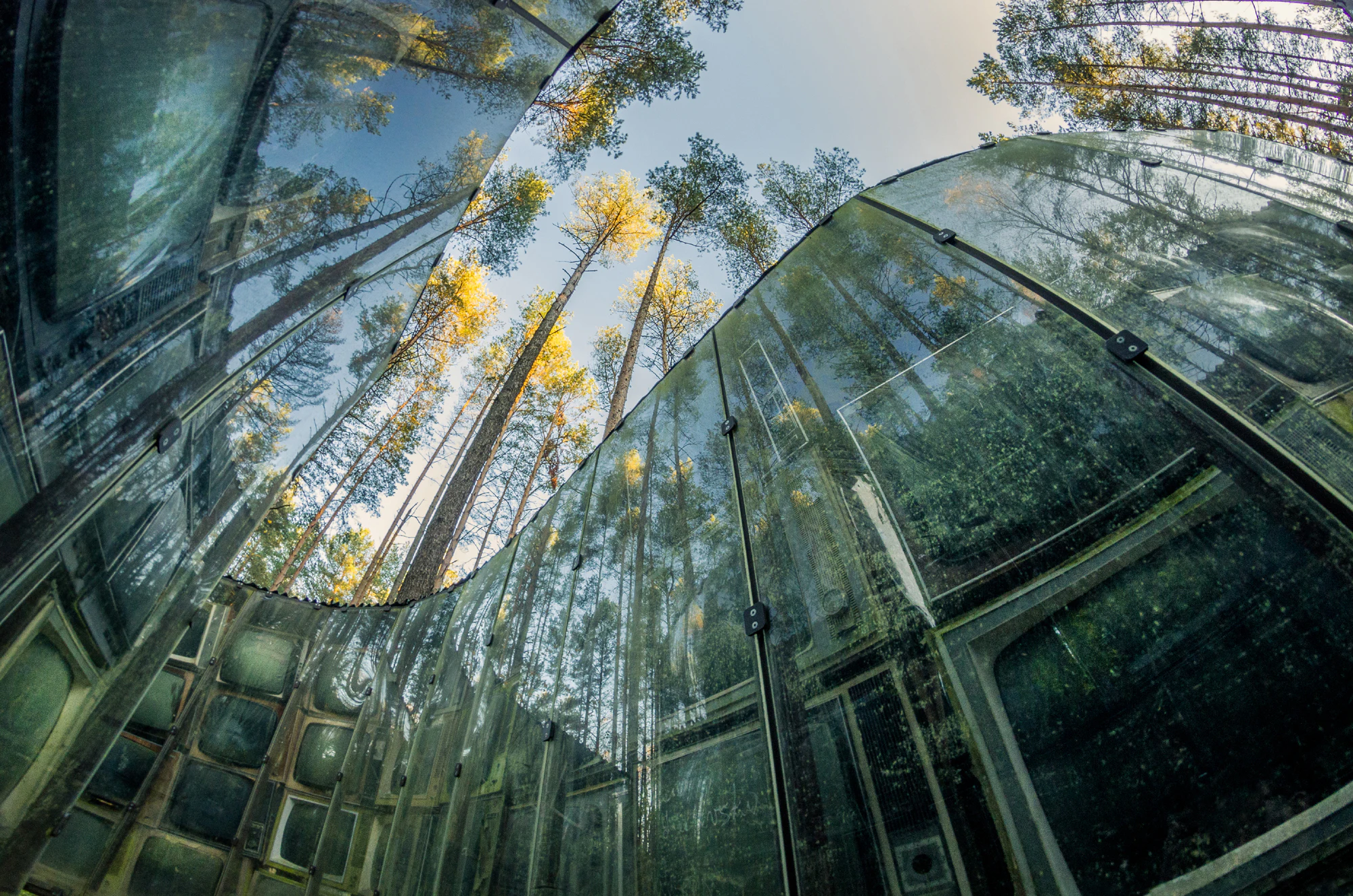 Tall trees reflected in a curving, glass-like structure against a clear sky, creating a surreal, mirrored forest effect.
