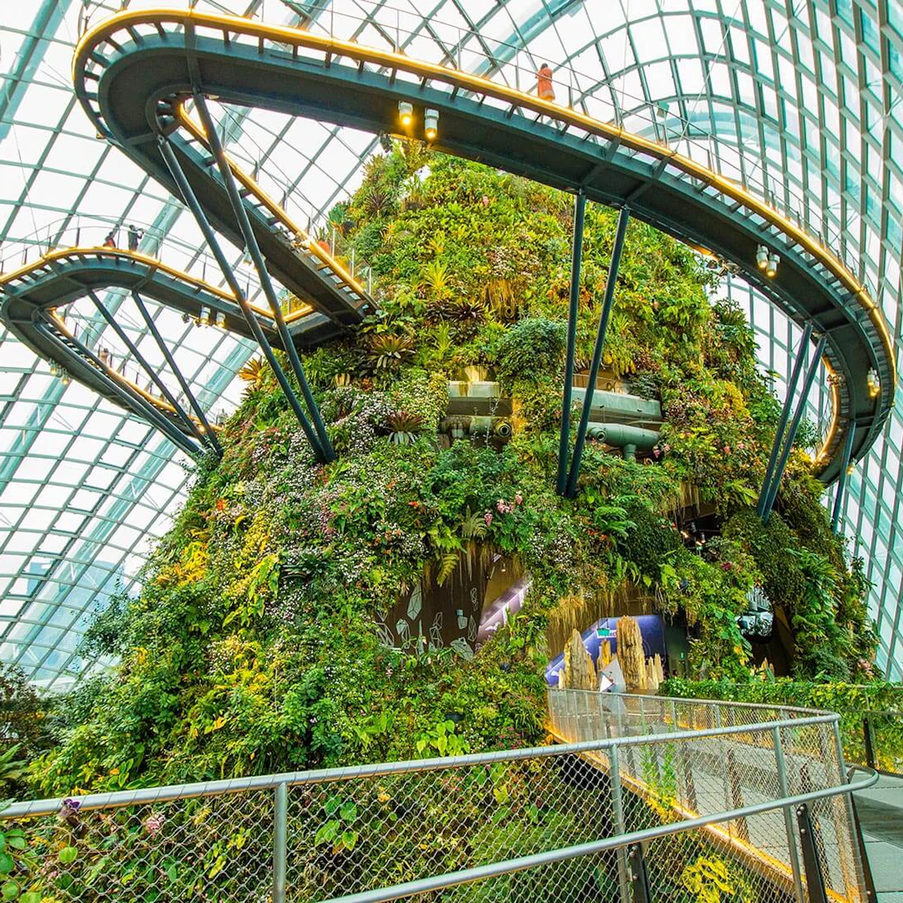 Gardens by the Bay: Flower Dome & Cloud Forest Entry Ticket in Singapore β Tiqets