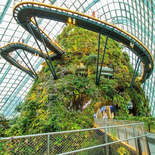 Gardens by the Bay: Flower Dome & Cloud Forest