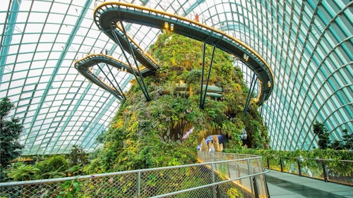 Gardens by the Bay: Flower Dome & Cloud Forest