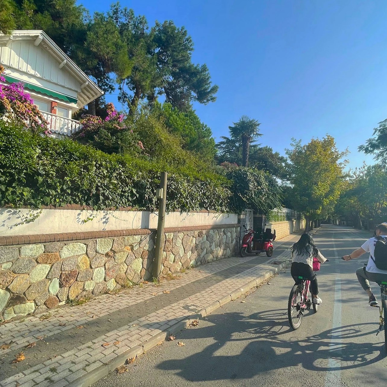 Istanbul: Princes' Islands Roundtrip from Istanbul in Istanbul β Tiqets