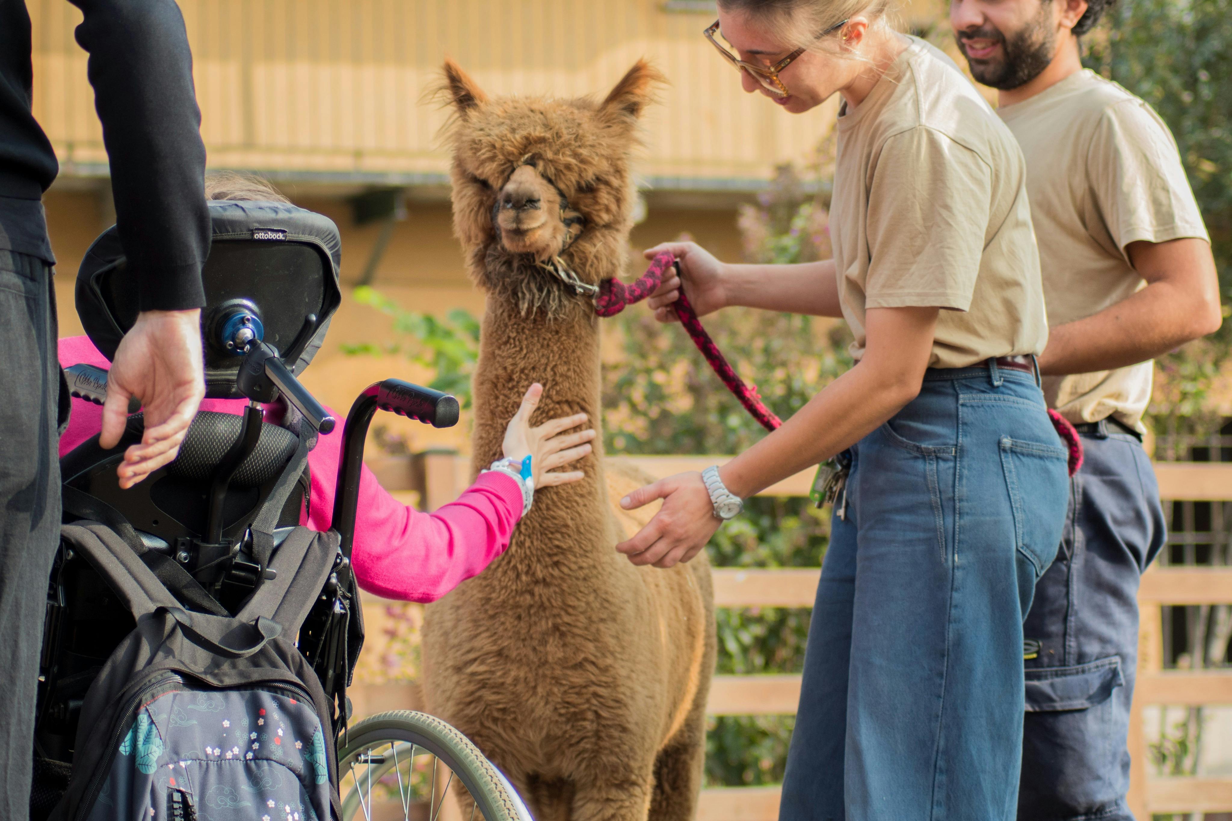 GROW UP - Alpaca del Monviso - Fattoria degli Alpaca: Tour guidato — 2