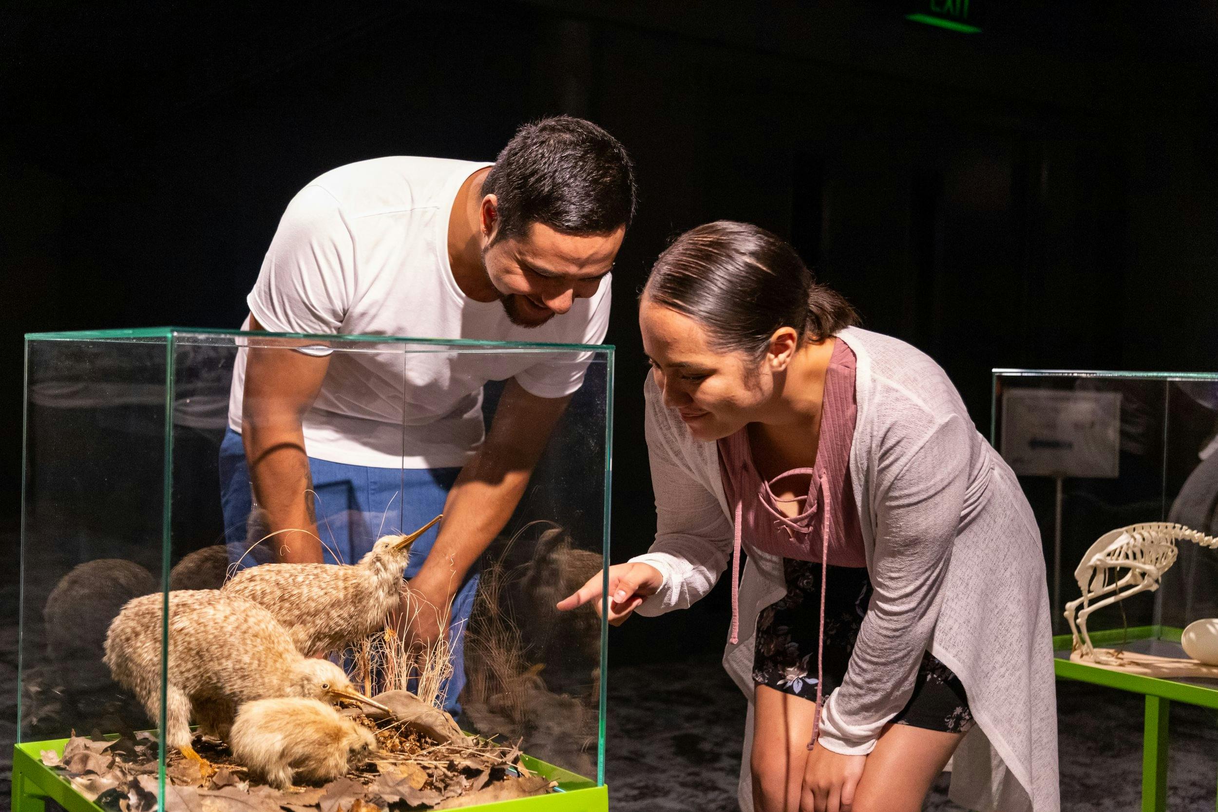 Two people observing a glass display case containing taxidermy animals in a museum setting.
