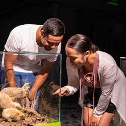 Two people observing a glass display case containing taxidermy animals in a museum setting.