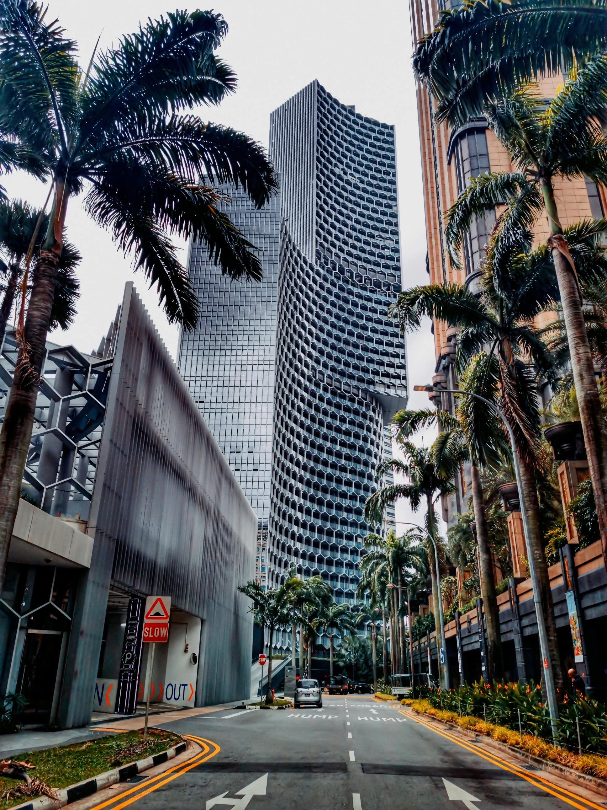 Tall, modern skyscrapers with unique facades line a palm tree-lined street, featuring a "SLOW" sign and few parked cars.