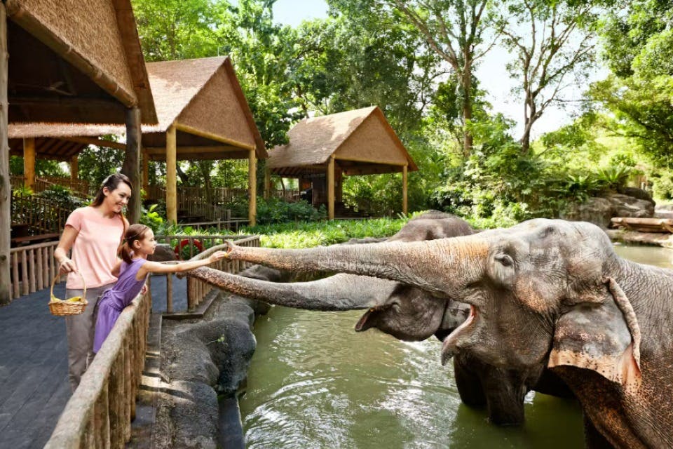 Une femme et un enfant nourrissent un éléphant qui enjambe une balustrade avec sa trompe, près de huttes au toit de chaume entourées de verdure.