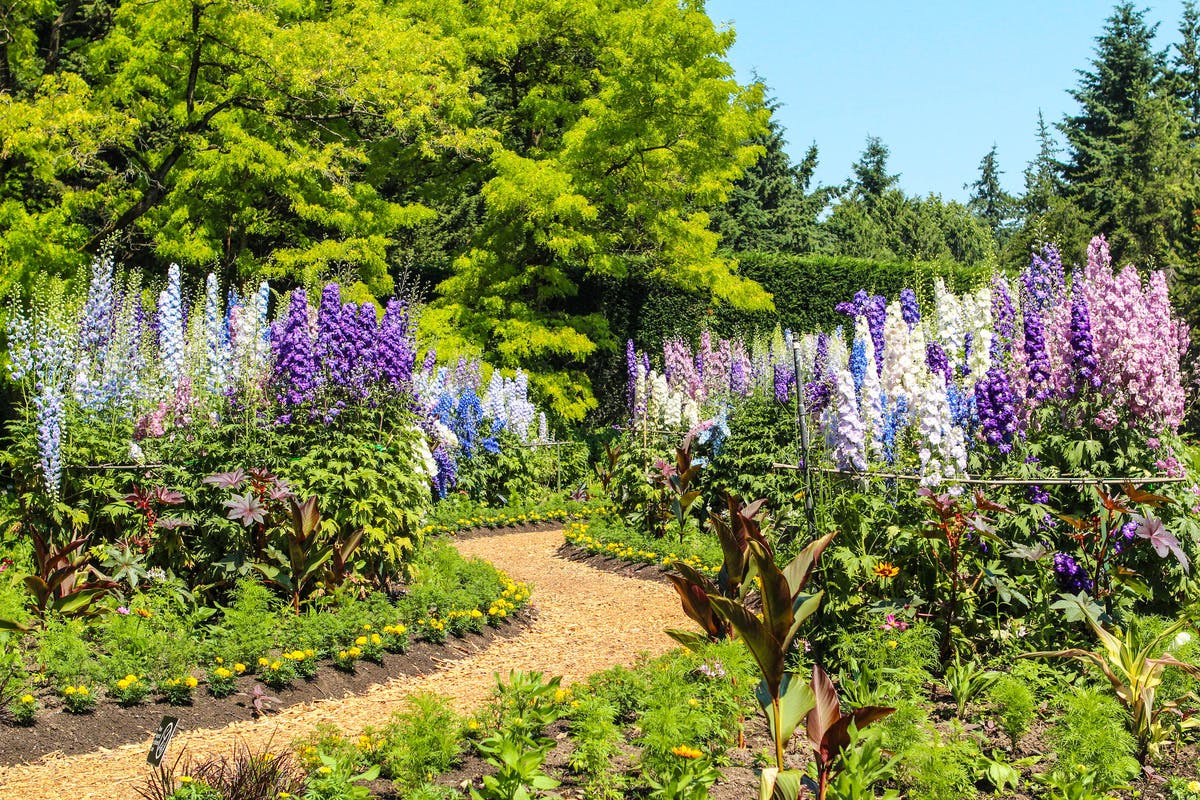 VanDusen Botaniske Haver