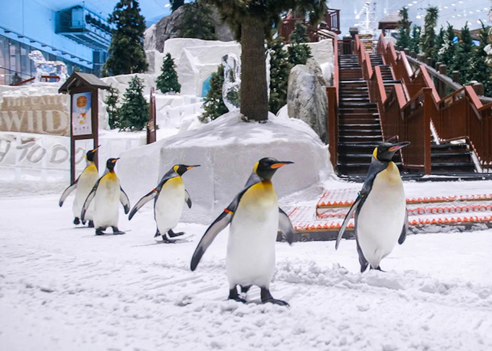 Penguins walking on snow near a staircase with artificial trees and snowy decor in the background.