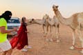 Interação com camelos