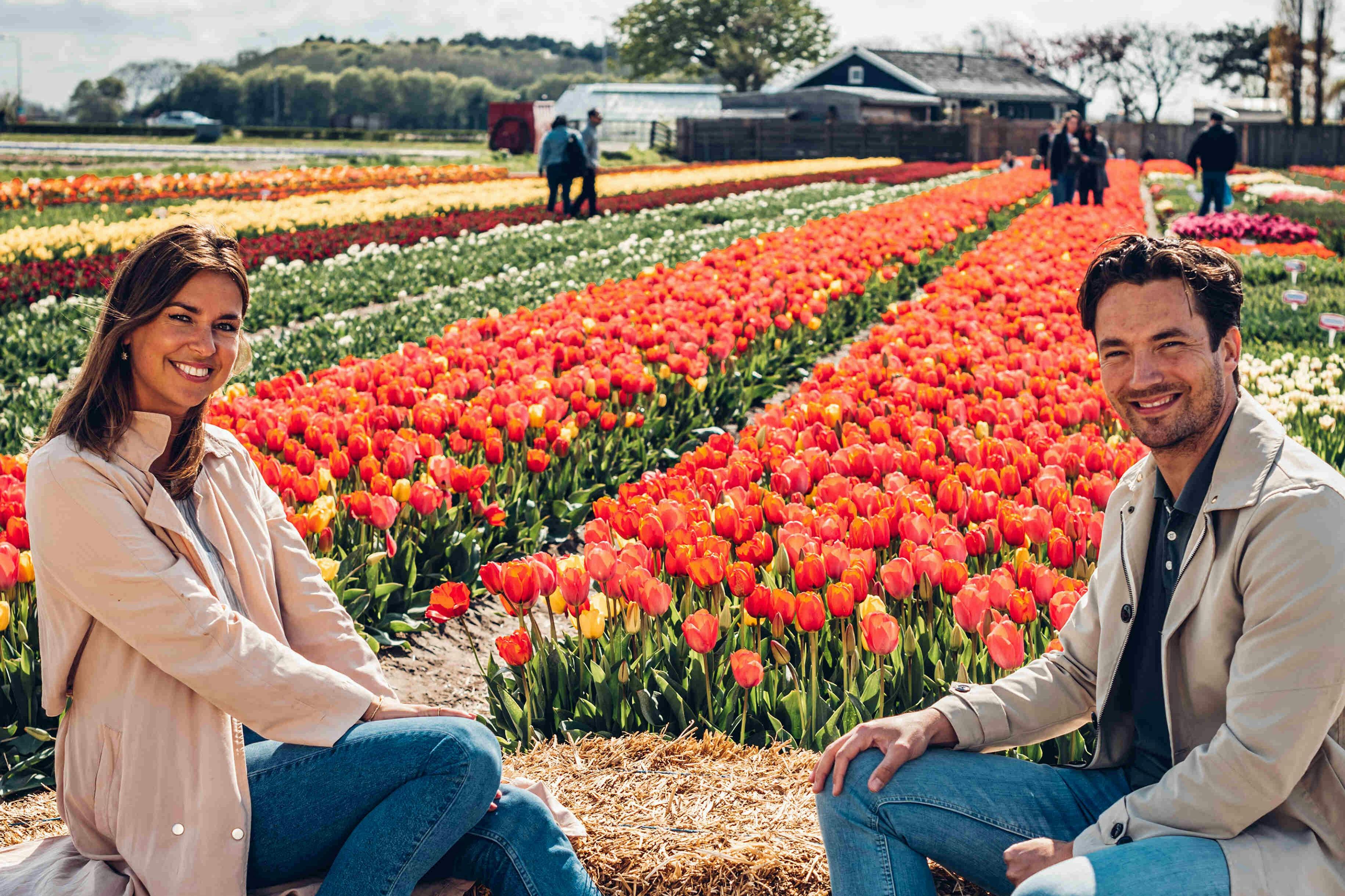 Tulip Experience Amsterdam