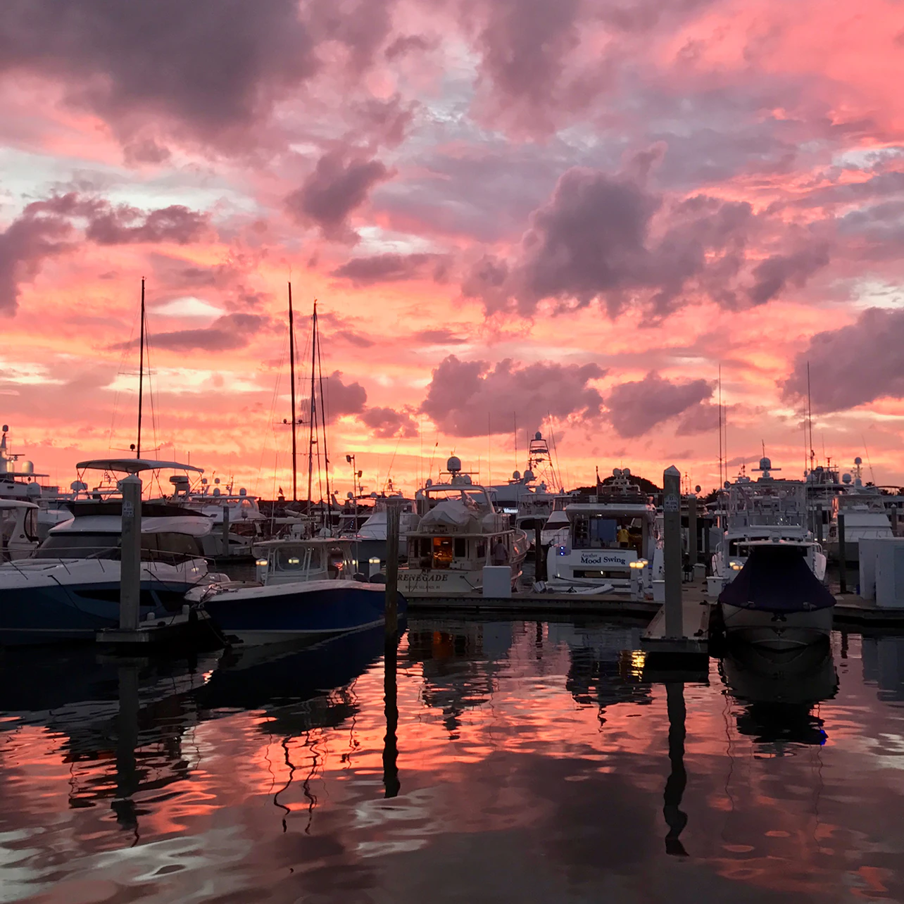 Fort Lauderdale: Jungle Queen Sightseeing Cruise in Fort Lauderdale β Tiqets