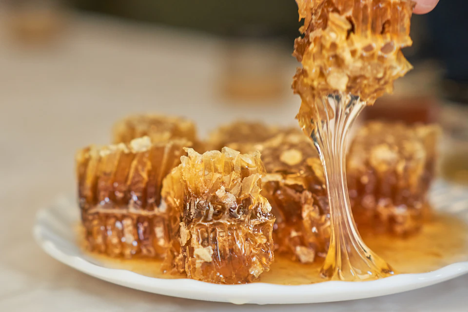 Honey tasting at the end of the experience