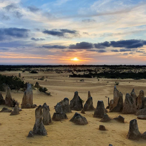 Pinnacles Desert: Guided Stargazing Tour + Roundtrip Transfer - Photo 4