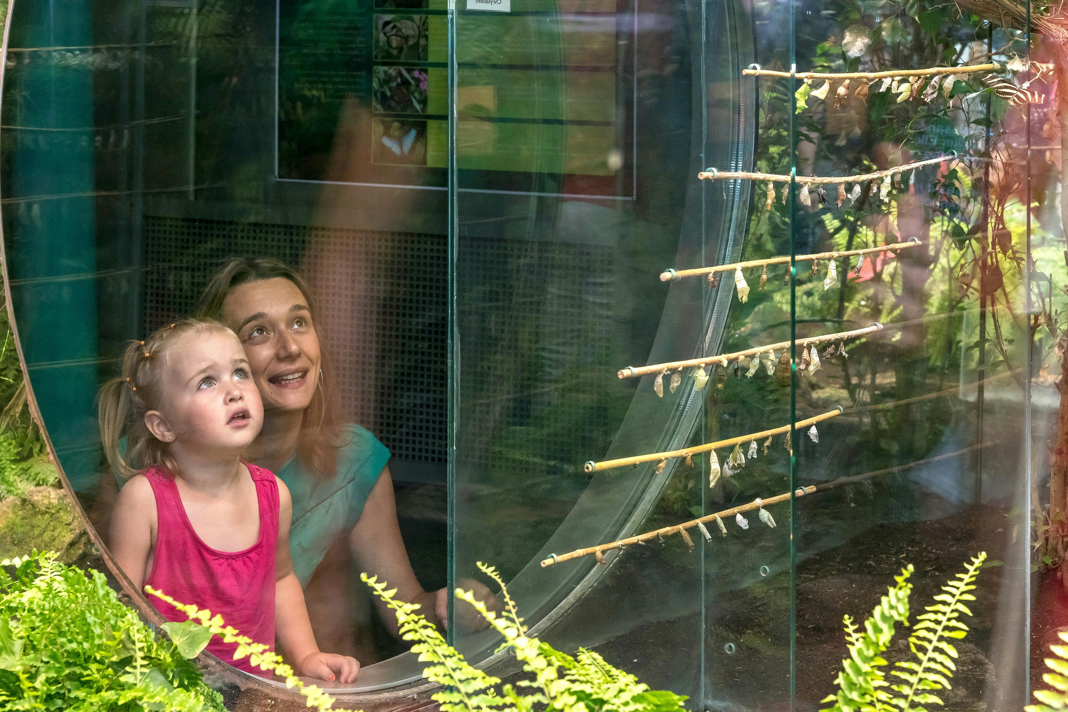 Arboretum pro motýly