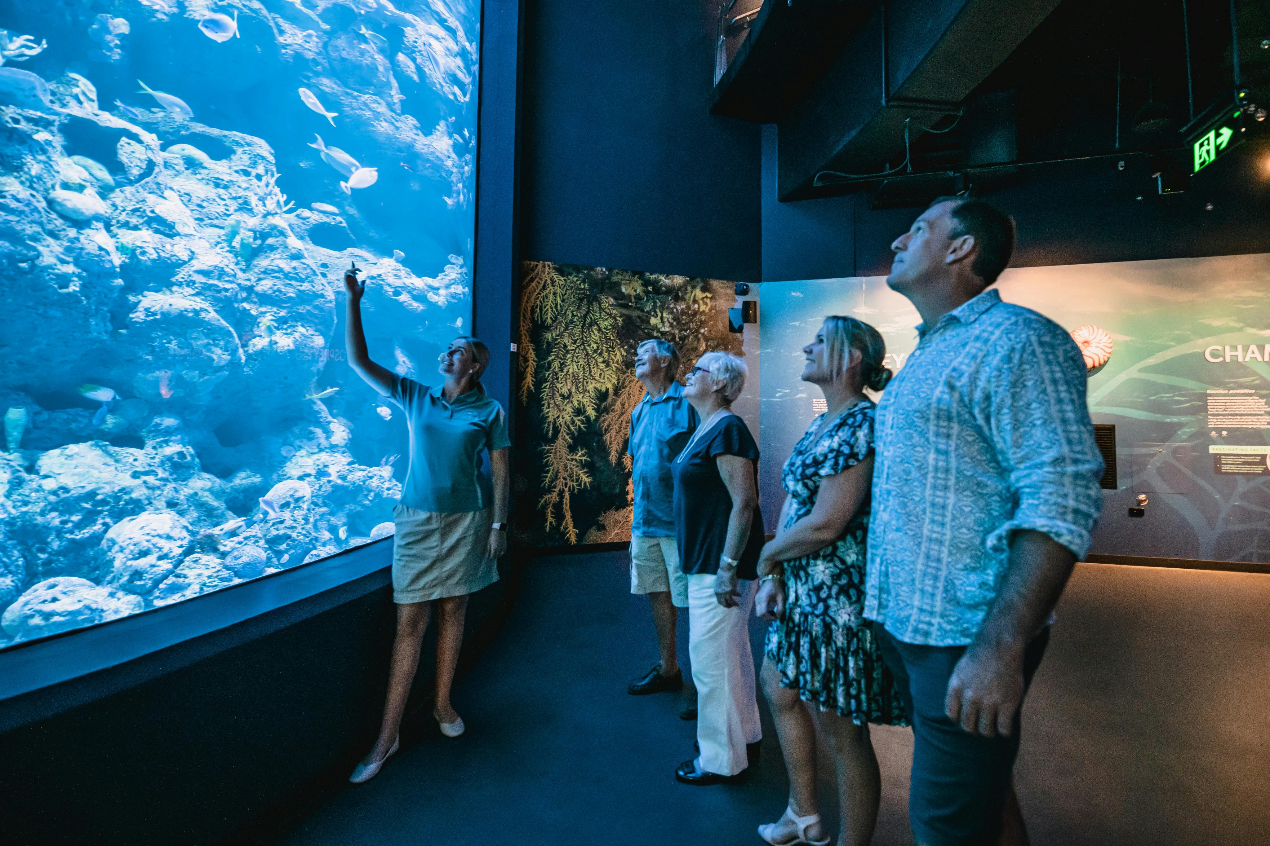 水族馆之夜导览游