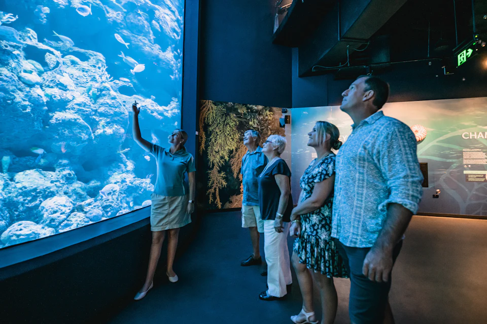 Guide with guests on Night at the Aquarium Tour