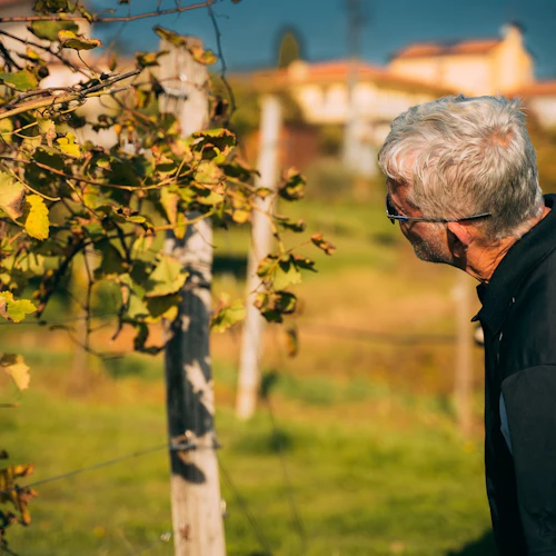 Prosecco Wine Tour de Veneza - Photo 10