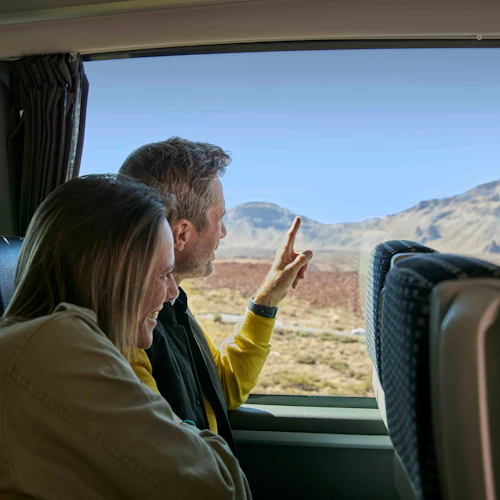 Mount Teide National Park: Guided Tour + Transport - Photo 10