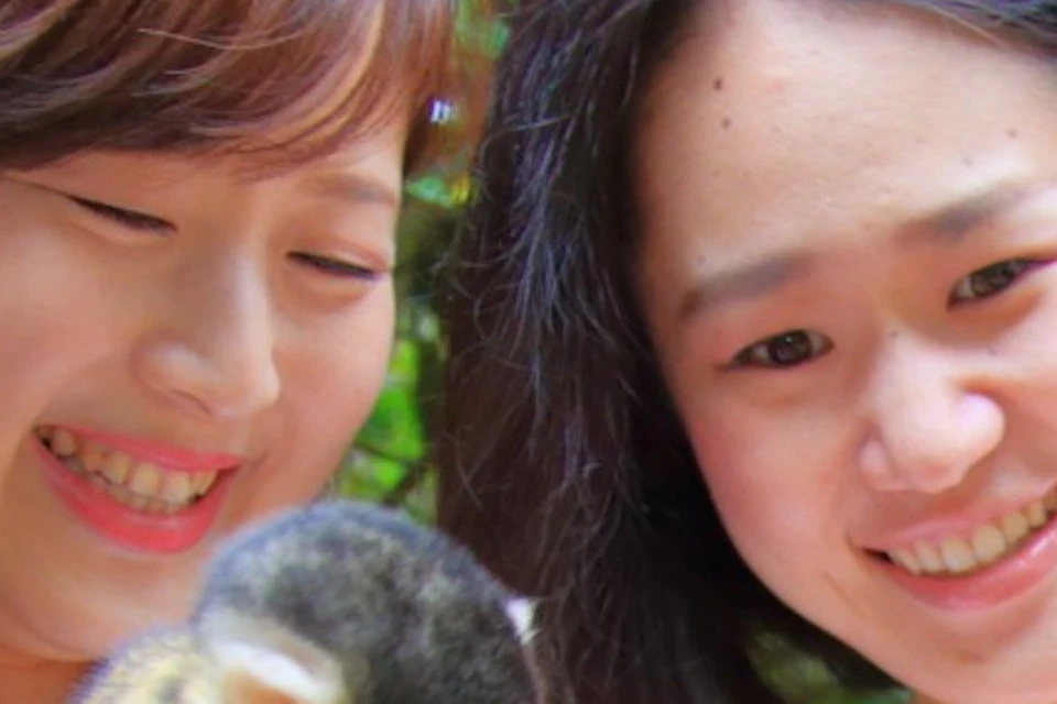 Two women sitting on a green bench surrounded by small yellow monkeys with black faces in a lush outdoor setting.