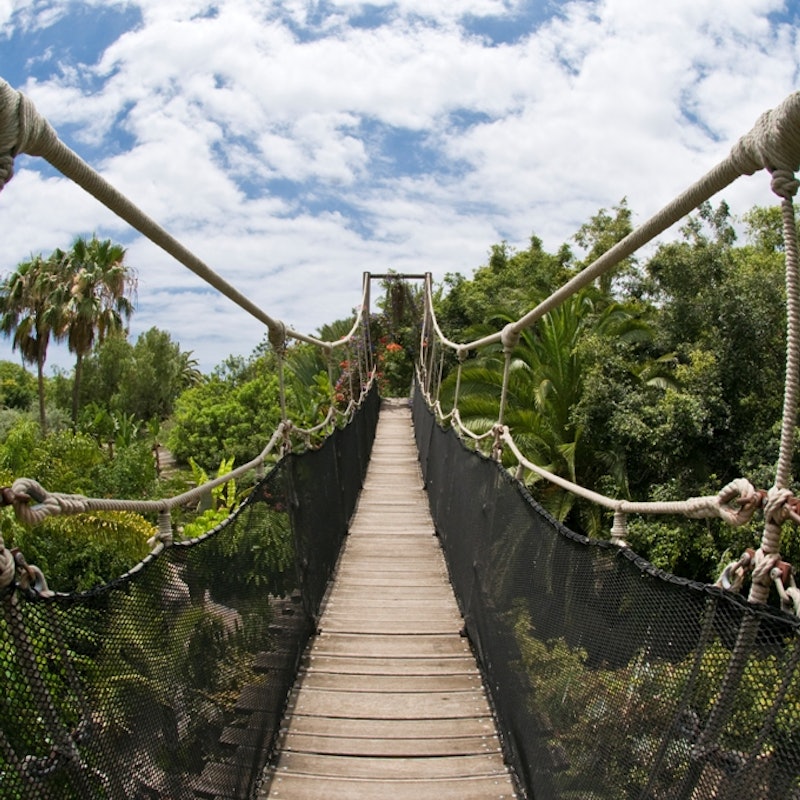 Foto de Jungle Park en Arona, Santa Cruz de Tenerife