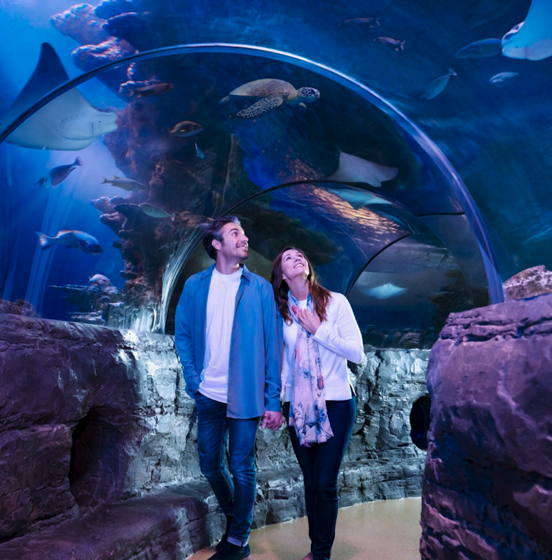 SEA LIFE Minnesota Aquarium Admission at the Mall of America 2023 -  Bloomington