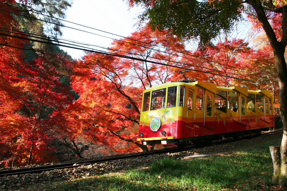 A yellow and red train passing through a forest of vibrant red and orange autumn leaves under clear skies.