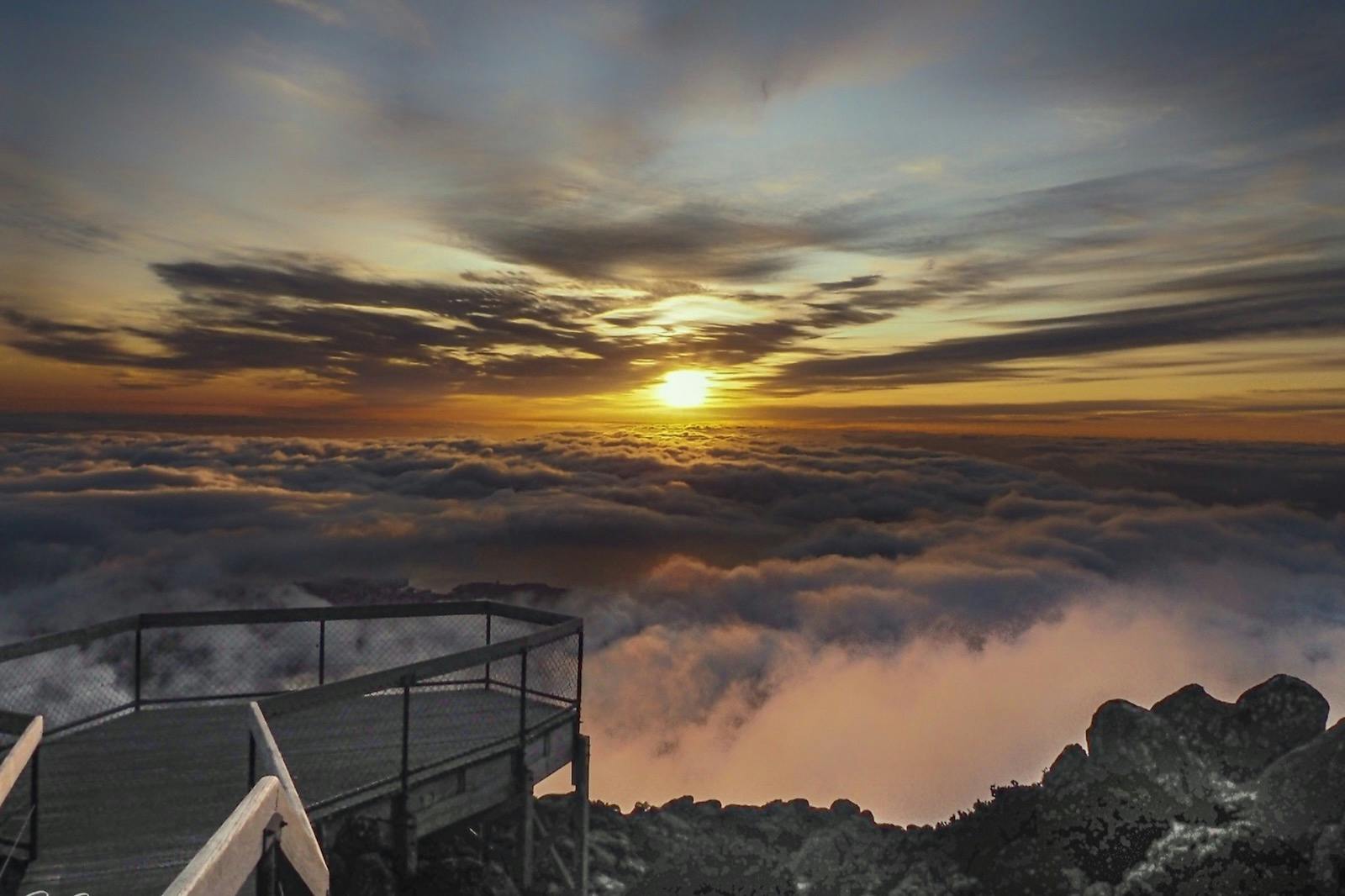 웰링턴산 꼭대기에서 바라보는 숨막히는 전망