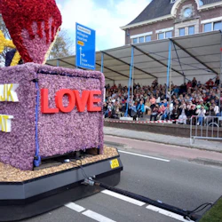 Amsterdam: Tulip Farm Entry + Flower Parade + Transport in destination