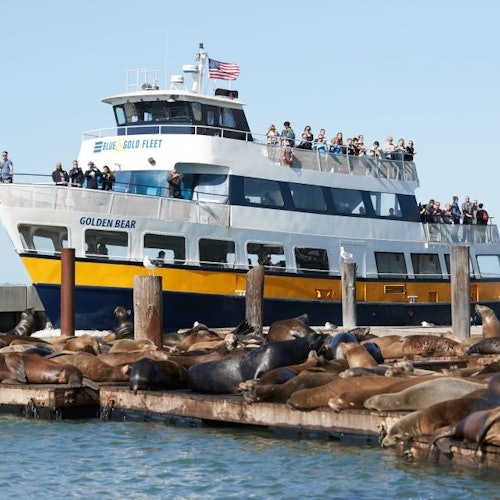 Tour Image 3