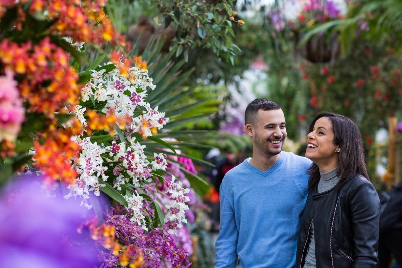 다채로운 색상의 다양한 꽃과 식물이 가득한 울창한 정원을 거닐며 미소를 짓는 커플.